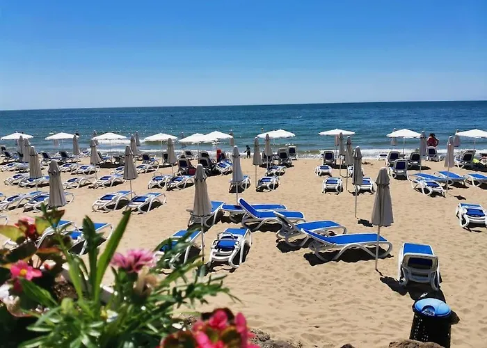 Апартамент Three-room *